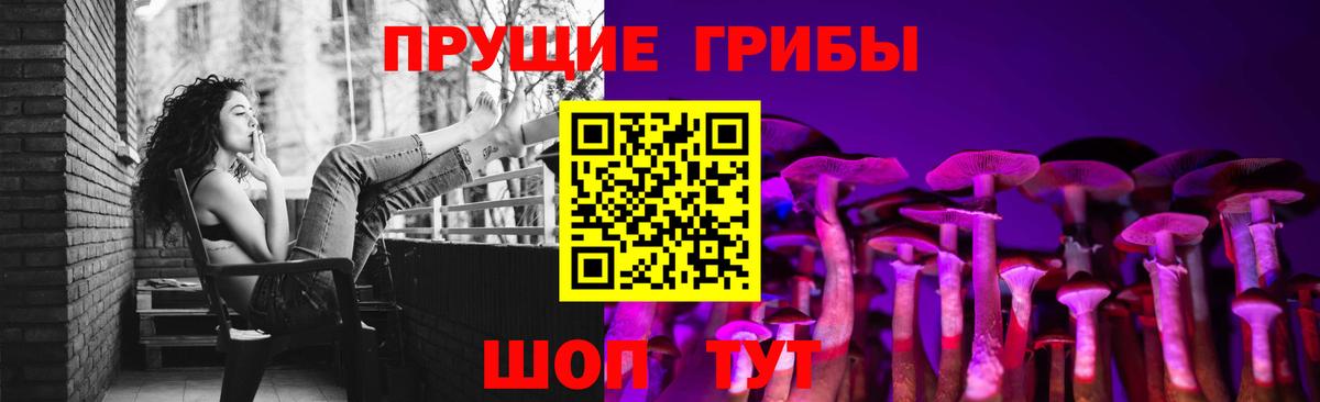 Тимашёвск  Псилоцибиновые грибы мухоморы  купить наркотики сайты  Вход с VPN 